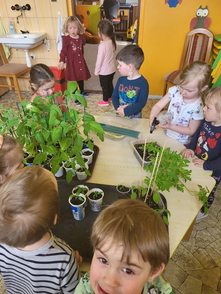 Péče o&nbsp;rostliny