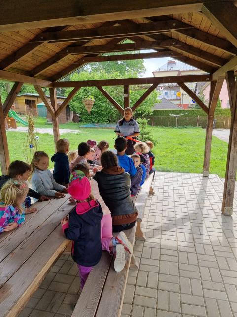 Koťata se seznamují s prací policie