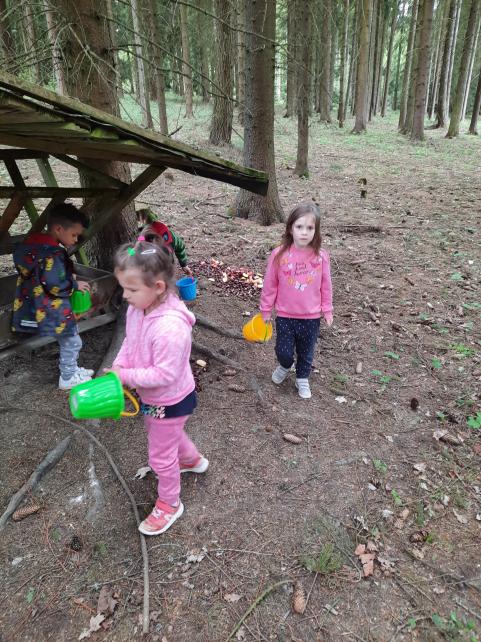 Výprava do lesa s pozorováním zvířat a odborným výkladem pana Banuta 